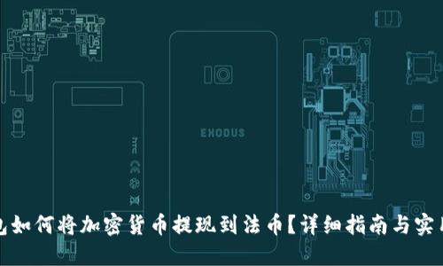 TP钱包如何将加密货币提现到法币？详细指南与实用技巧