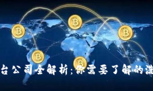 区块链洗币平台公司全解析：你需要了解的洗币流程与风险