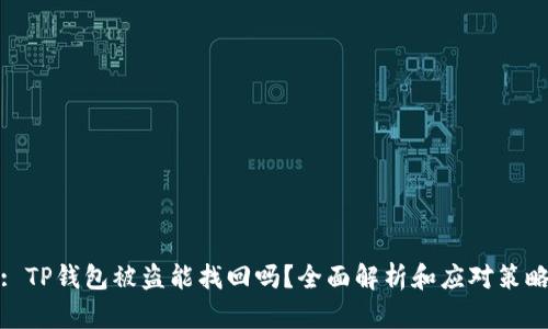 : TP钱包被盗能找回吗？全面解析和应对策略