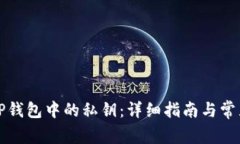 如何找回TP钱包中的私钥：详细指南与常见问题解